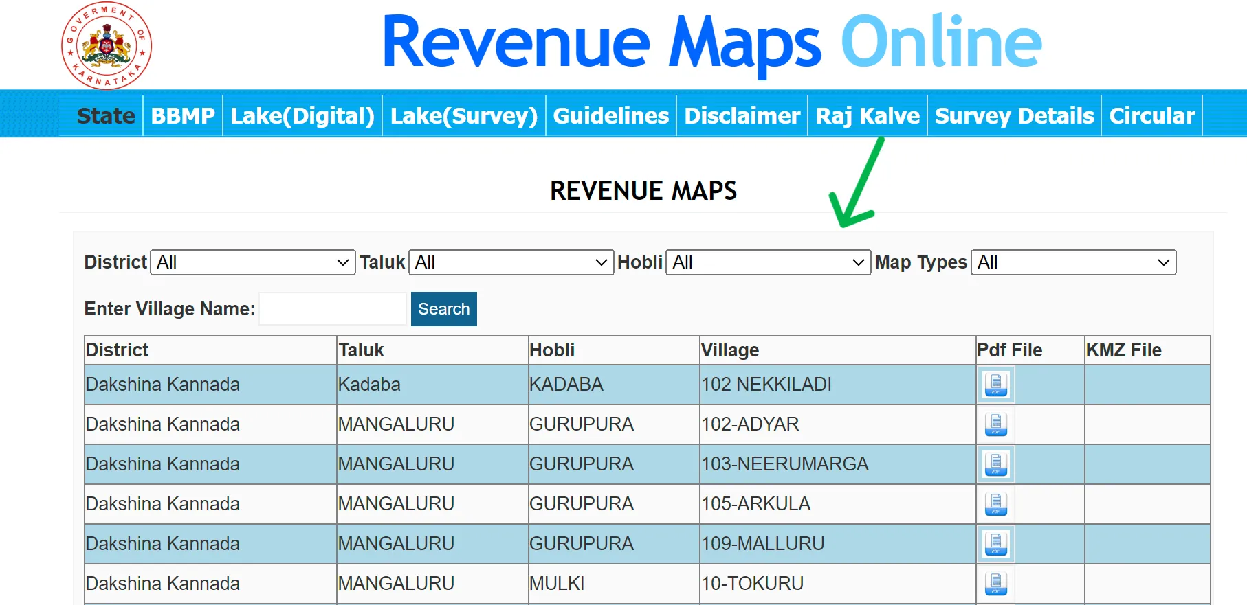 revenue map details